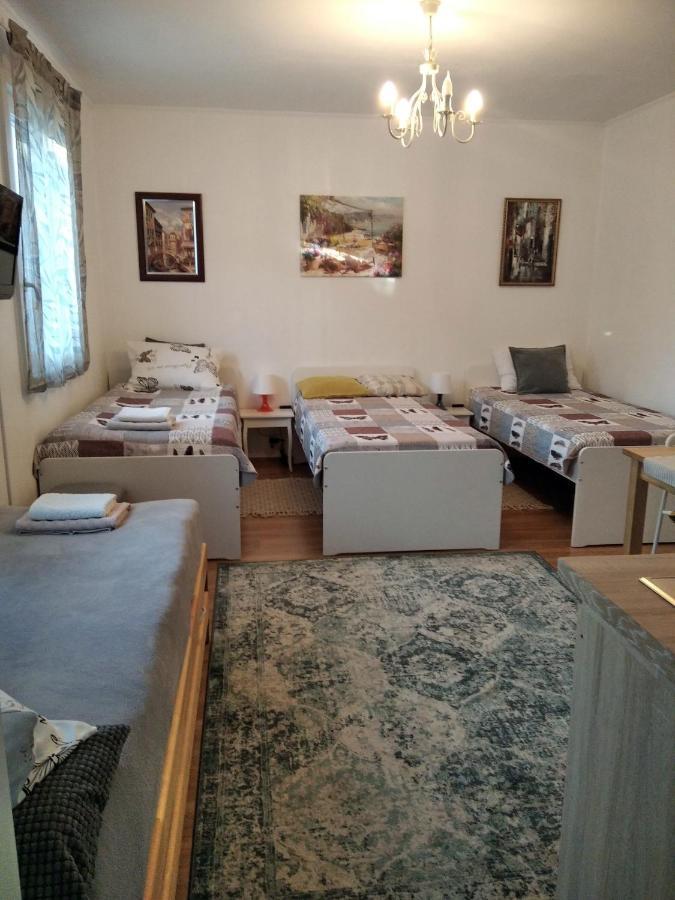 Eco-Lux Apart With Free Bicycles End Free Parking Ljubljana Ngoại thất bức ảnh