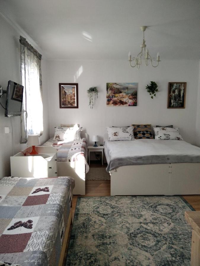 Eco-Lux Apart With Free Bicycles End Free Parking Ljubljana Ngoại thất bức ảnh